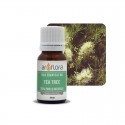 Huile essentielle de Tea Tree bio