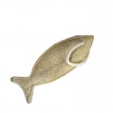 Luffa, éponge végétale, Liane torchon POISSON