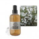 Lotion capillaire bio Brou de Noix